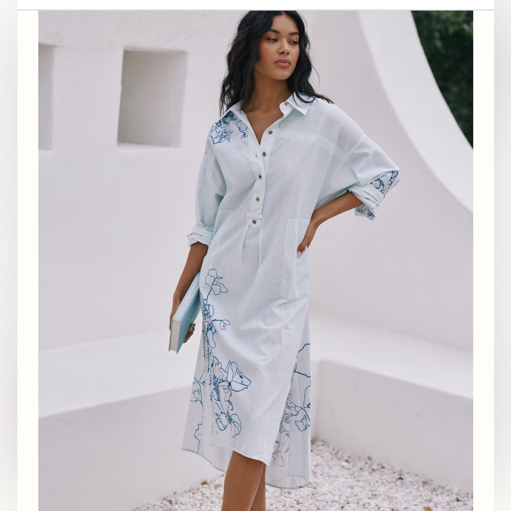 Anthropologie long sleeve popover dress